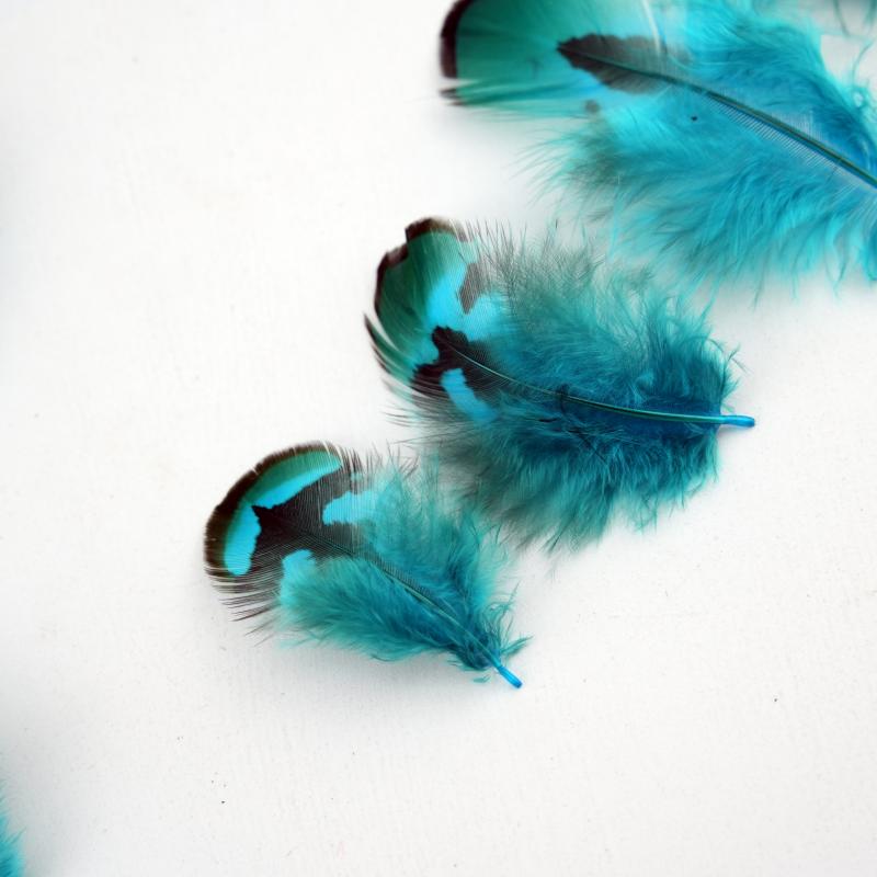 Natural DIY Pheasant Feathers  - Wedding Supply Bulk ulasan dan harga